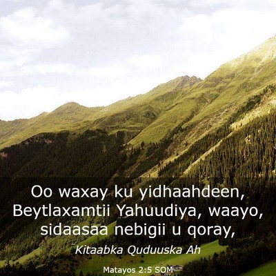 Picture 03 - Matayos 2:5 SOM - Oo waxay ku yidhaahdeen, Beytlaxamtii Yahuudiya, - Bible Verse Picture