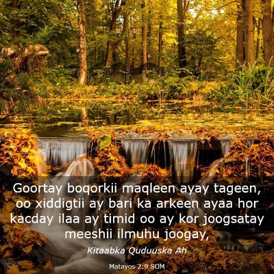Picture 03 - Matayos 2:9 SOM - Goortay boqorkii maqleen ayay tageen, oo - Bible Verse Picture