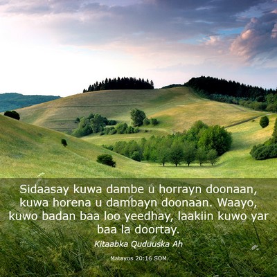 Picture 03 - Matayos 20:16 SOM - Sidaasay kuwa dambe u horrayn doonaan, kuwa - Bible Verse Picture