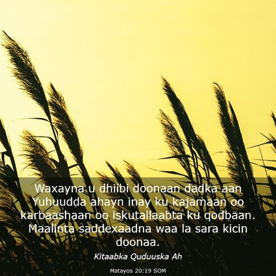 Picture 03 - Matayos 20:19 SOM - Waxayna u dhiibi doonaan dadka aan Yuhuudda ahayn - Bible Verse Picture