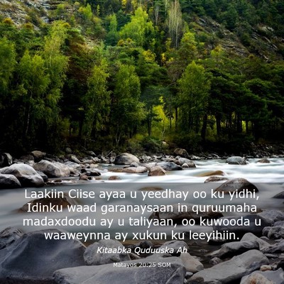 Picture 03 - Matayos 20:25 SOM - Laakiin Ciise ayaa u yeedhay oo ku yidhi, Idinku - Bible Verse Picture