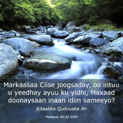Picture 03 - Matayos 20:32 SOM - Markaasaa Ciise joogsaday, oo intuu u yeedhay - Bible Verse Picture