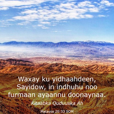 Picture 03 - Matayos 20:33 SOM - Waxay ku yidhaahdeen, Sayidow, in indhuhu noo - Bible Verse Picture