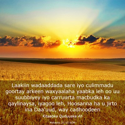 Picture 03 - Matayos 21:15 SOM - Laakiin wadaaddada sare iyo culimmadu goortay - Bible Verse Picture
