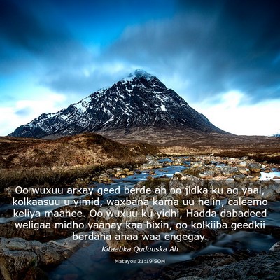 Picture 03 - Matayos 21:19 SOM - Oo wuxuu arkay geed berde ah oo jidka ku ag yaal, - Bible Verse Picture