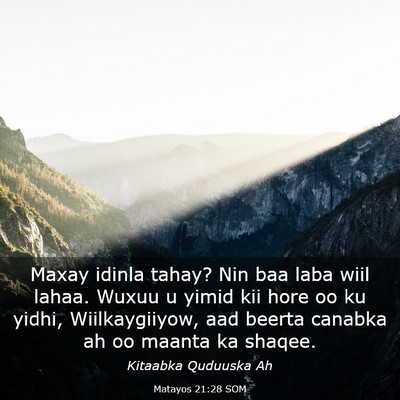 Picture 03 - Matayos 21:28 SOM - Maxay idinla tahay? Nin baa laba wiil lahaa. - Bible Verse Picture