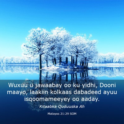 Picture 03 - Matayos 21:29 SOM - Wuxuu u jawaabay oo ku yidhi, Dooni maayo, - Bible Verse Picture