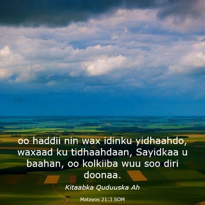 Picture 03 - Matayos 21:3 SOM - oo haddii nin wax idinku yidhaahdo, waxaad ku - Bible Verse Picture