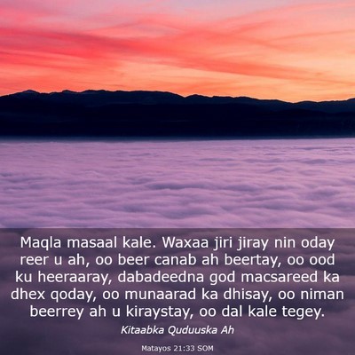 Picture 03 - Matayos 21:33 SOM - Maqla masaal kale. Waxaa jiri jiray nin oday reer - Bible Verse Picture