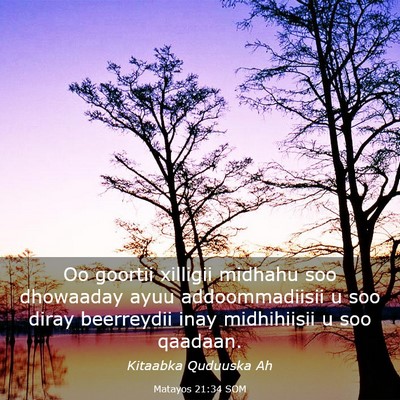 Picture 03 - Matayos 21:34 SOM - Oo goortii xilligii midhahu soo dhowaaday ayuu - Bible Verse Picture