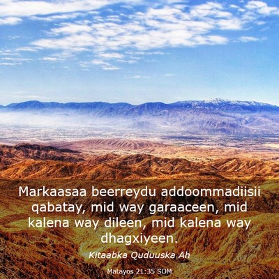 Picture 03 - Matayos 21:35 SOM - Markaasaa beerreydu addoommadiisii qabatay, mid - Bible Verse Picture