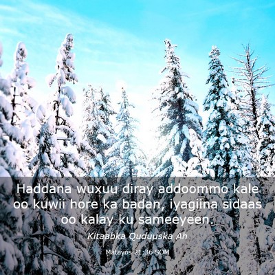Picture 03 - Matayos 21:36 SOM - Haddana wuxuu diray addoommo kale oo kuwii hore - Bible Verse Picture