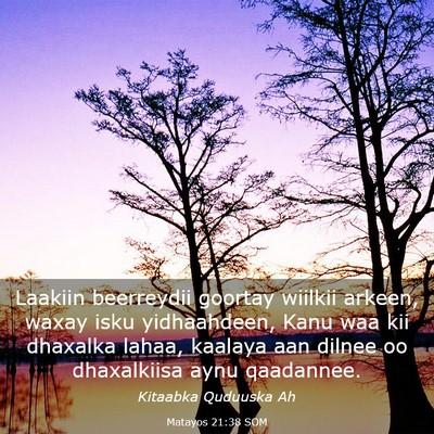 Picture 03 - Matayos 21:38 SOM - Laakiin beerreydii goortay wiilkii arkeen, waxay - Bible Verse Picture