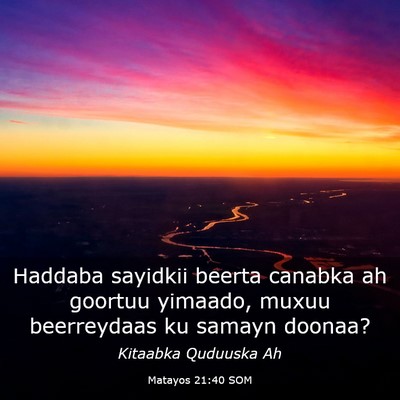 Picture 03 - Matayos 21:40 SOM - Haddaba sayidkii beerta canabka ah goortuu - Bible Verse Picture