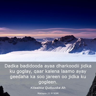Picture 03 - Matayos 21:8 SOM - Dadka badidooda ayaa dharkoodii jidka ku goglay, - Bible Verse Picture