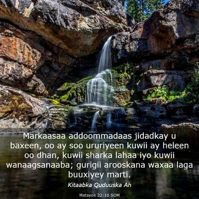 Picture 03 - Matayos 22:10 SOM - Markaasaa addoommadaas jidadkay u baxeen, oo ay - Bible Verse Picture