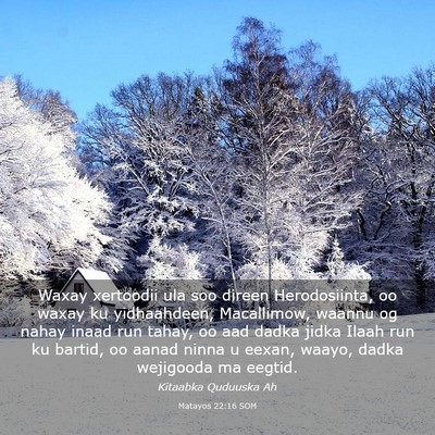 Picture 03 - Matayos 22:16 SOM - Waxay xertoodii ula soo direen Herodosiinta, oo - Bible Verse Picture
