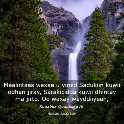 Picture 03 - Matayos 22:23 SOM - Maalintaas waxaa u yimid Sadukiin kuwii odhan - Bible Verse Picture