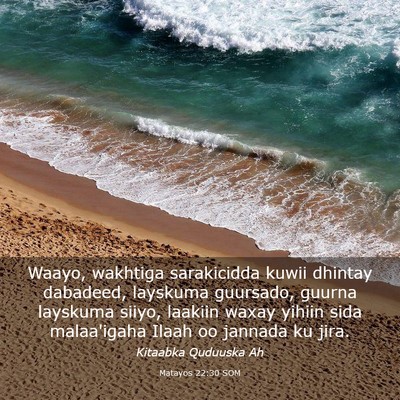 Picture 03 - Matayos 22:30 SOM - Waayo, wakhtiga sarakicidda kuwii dhintay - Bible Verse Picture