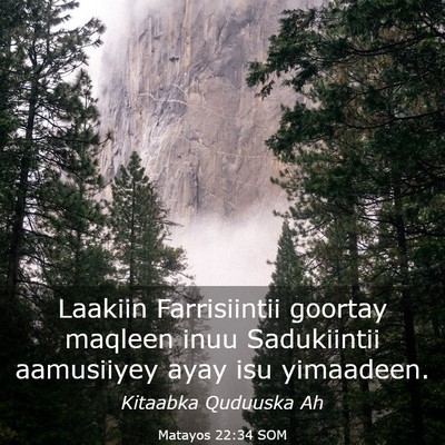 Picture 03 - Matayos 22:34 SOM - Laakiin Farrisiintii goortay maqleen inuu - Bible Verse Picture