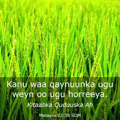 Picture 03 - Matayos 22:38 SOM - Kanu waa qaynuunka ugu weyn oo ugu - Bible Verse Picture
