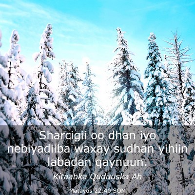 Picture 03 - Matayos 22:40 SOM - Sharcigii oo dhan iyo nebiyadiiba waxay sudhan - Bible Verse Picture