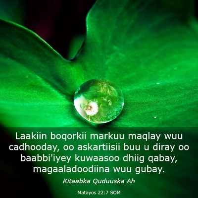 Picture 03 - Matayos 22:7 SOM - Laakiin boqorkii markuu maqlay wuu cadhooday, oo - Bible Verse Picture