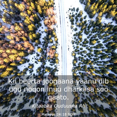 Picture 03 - Matayos 24:18 SOM - Kii beerta joogaana yaanu dib ugu noqon inuu - Bible Verse Picture