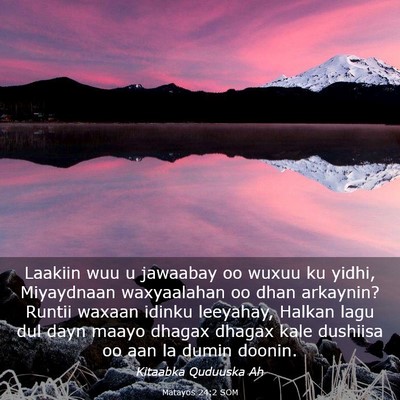 Picture 03 - Matayos 24:2 SOM - Laakiin wuu u jawaabay oo wuxuu ku yidhi, - Bible Verse Picture