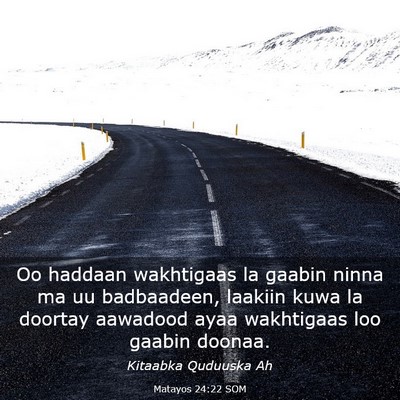 Picture 03 - Matayos 24:22 SOM - Oo haddaan wakhtigaas la gaabin ninna ma uu - Bible Verse Picture