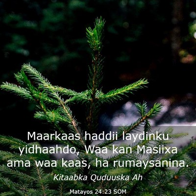 Picture 03 - Matayos 24:23 SOM - Maarkaas haddii laydinku yidhaahdo, Waa kan - Bible Verse Picture