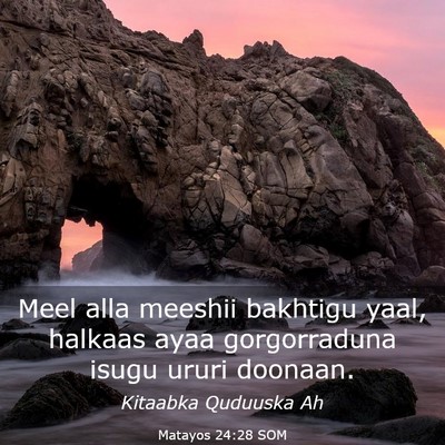 Picture 03 - Matayos 24:28 SOM - Meel alla meeshii bakhtigu yaal, halkaas ayaa - Bible Verse Picture