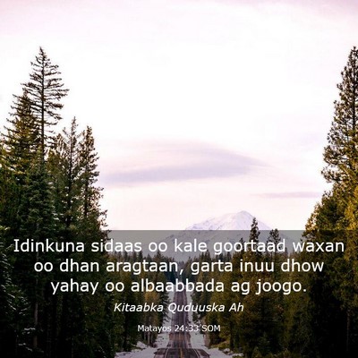 Picture 03 - Matayos 24:33 SOM - Idinkuna sidaas oo kale goortaad waxan oo dhan - Bible Verse Picture