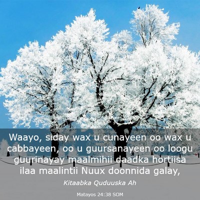 Picture 03 - Matayos 24:38 SOM - Waayo, siday wax u cunayeen oo wax u cabbayeen, - Bible Verse Picture