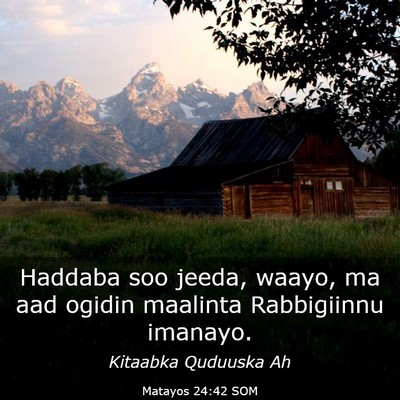 Picture 03 - Matayos 24:42 SOM - Haddaba soo jeeda, waayo, ma aad ogidin maalinta - Bible Verse Picture
