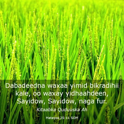 Picture 03 - Matayos 25:11 SOM - Dabadeedna waxaa yimid bikradihii kale, oo waxay - Bible Verse Picture