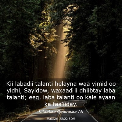 Picture 03 - Matayos 25:22 SOM - Kii labadii talanti helayna waa yimid oo yidhi, - Bible Verse Picture