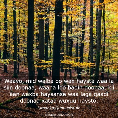 Picture 03 - Matayos 25:29 SOM - Waayo, mid walba oo wax haysta waa la siin - Bible Verse Picture