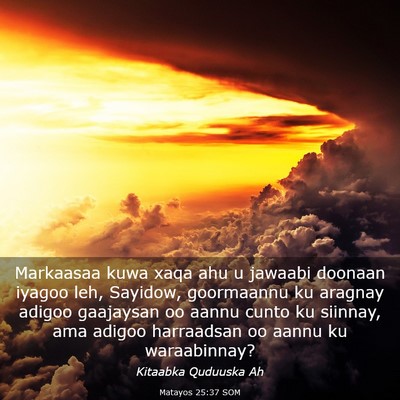 Picture 03 - Matayos 25:37 SOM - Markaasaa kuwa xaqa ahu u jawaabi doonaan iyagoo - Bible Verse Picture