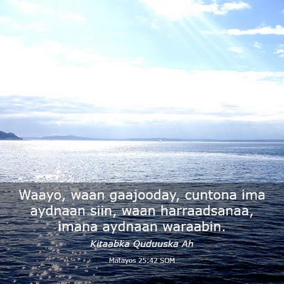 Picture 03 - Matayos 25:42 SOM - Waayo, waan gaajooday, cuntona ima aydnaan siin, - Bible Verse Picture