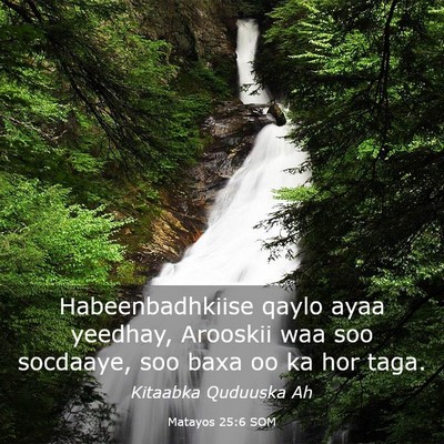 Picture 03 - Matayos 25:6 SOM - Habeenbadhkiise qaylo ayaa yeedhay, Arooskii waa - Bible Verse Picture
