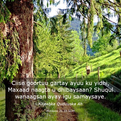 Picture 03 - Matayos 26:10 SOM - Ciise goortuu gartay ayuu ku yidhi, Maxaad naagta - Bible Verse Picture