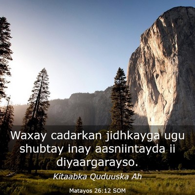 Picture 03 - Matayos 26:12 SOM - Waxay cadarkan jidhkayga ugu shubtay inay - Bible Verse Picture
