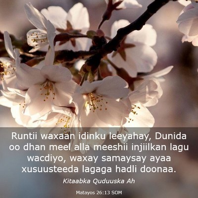 Picture 03 - Matayos 26:13 SOM - Runtii waxaan idinku leeyahay, Dunida oo dhan - Bible Verse Picture
