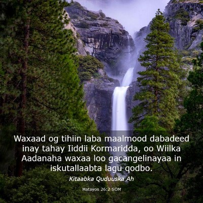 Picture 03 - Matayos 26:2 SOM - Waxaad og tihiin laba maalmood dabadeed inay - Bible Verse Picture