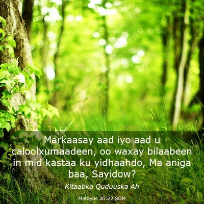 Picture 03 - Matayos 26:22 SOM - Markaasay aad iyo aad u caloolxumaadeen, oo waxay - Bible Verse Picture