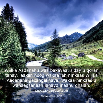 Picture 03 - Matayos 26:24 SOM - Wiilka Aadanahu waa baxayaa, siday u qoran tahay, - Bible Verse Picture