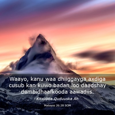 Picture 03 - Matayos 26:28 SOM - Waayo, kanu waa dhiiggayga axdiga cusub kan kuwo - Bible Verse Picture