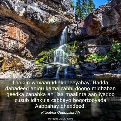 Picture 03 - Matayos 26:29 SOM - Laakiin waxaan idinku leeyahay, Hadda dabadeed - Bible Verse Picture