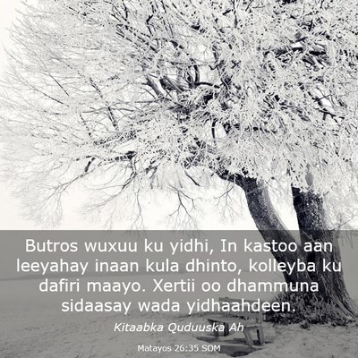 Picture 03 - Matayos 26:35 SOM - Butros wuxuu ku yidhi, In kastoo aan leeyahay - Bible Verse Picture